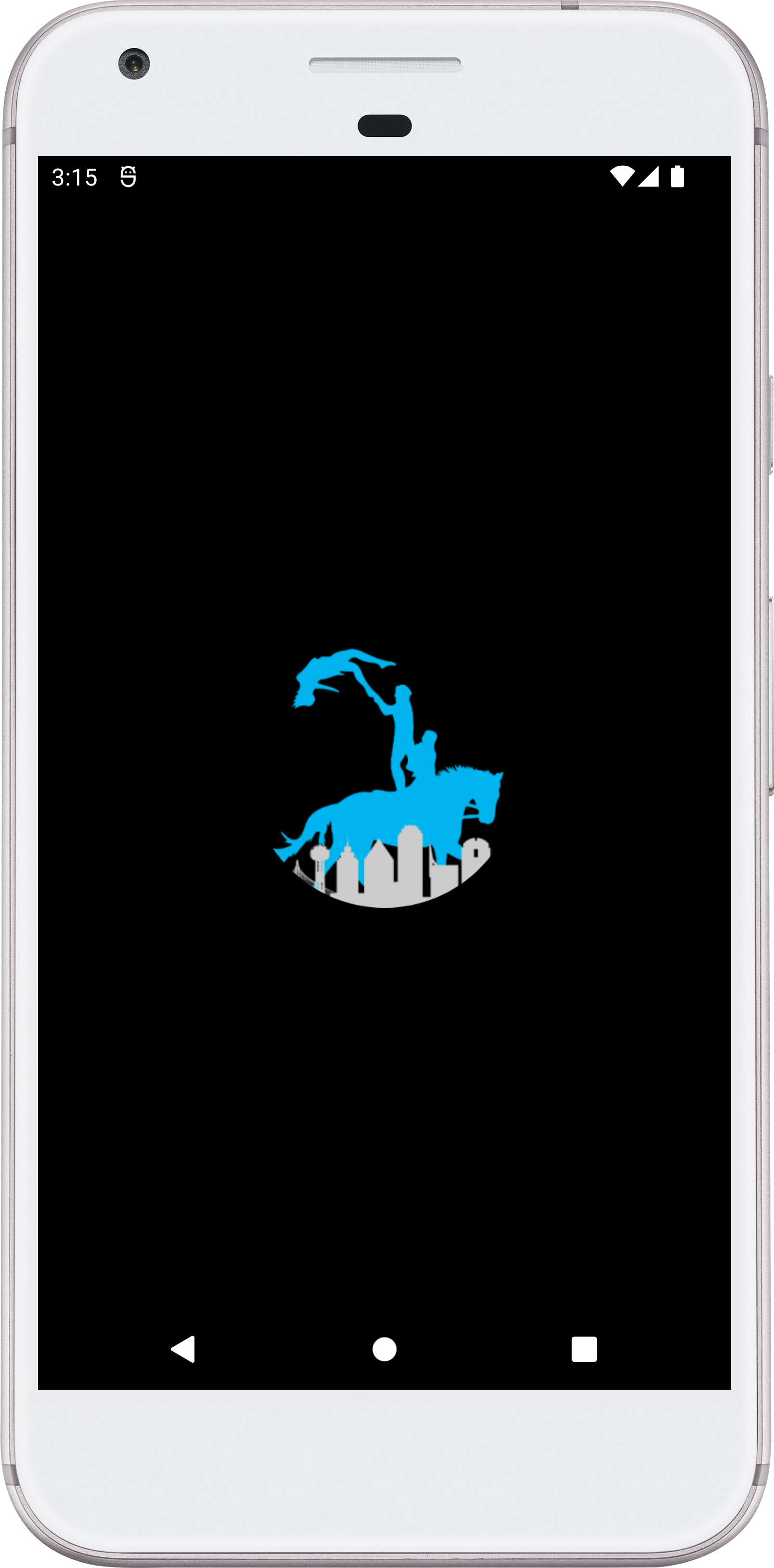 Image of the Equestrian Vaulting Coaching App